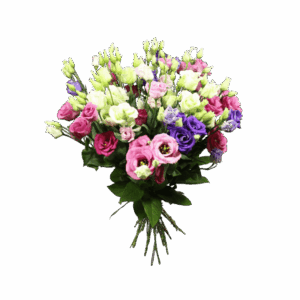 Boeket lisianthus