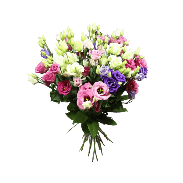 Boeket lisianthus