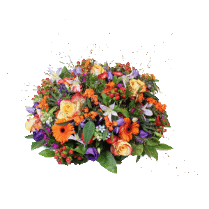 Biedermeier lila oranje