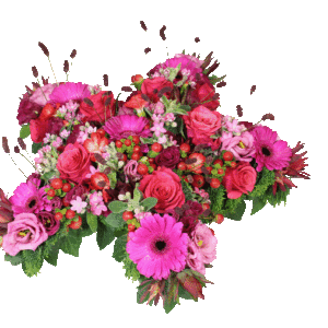 Bloemen ster