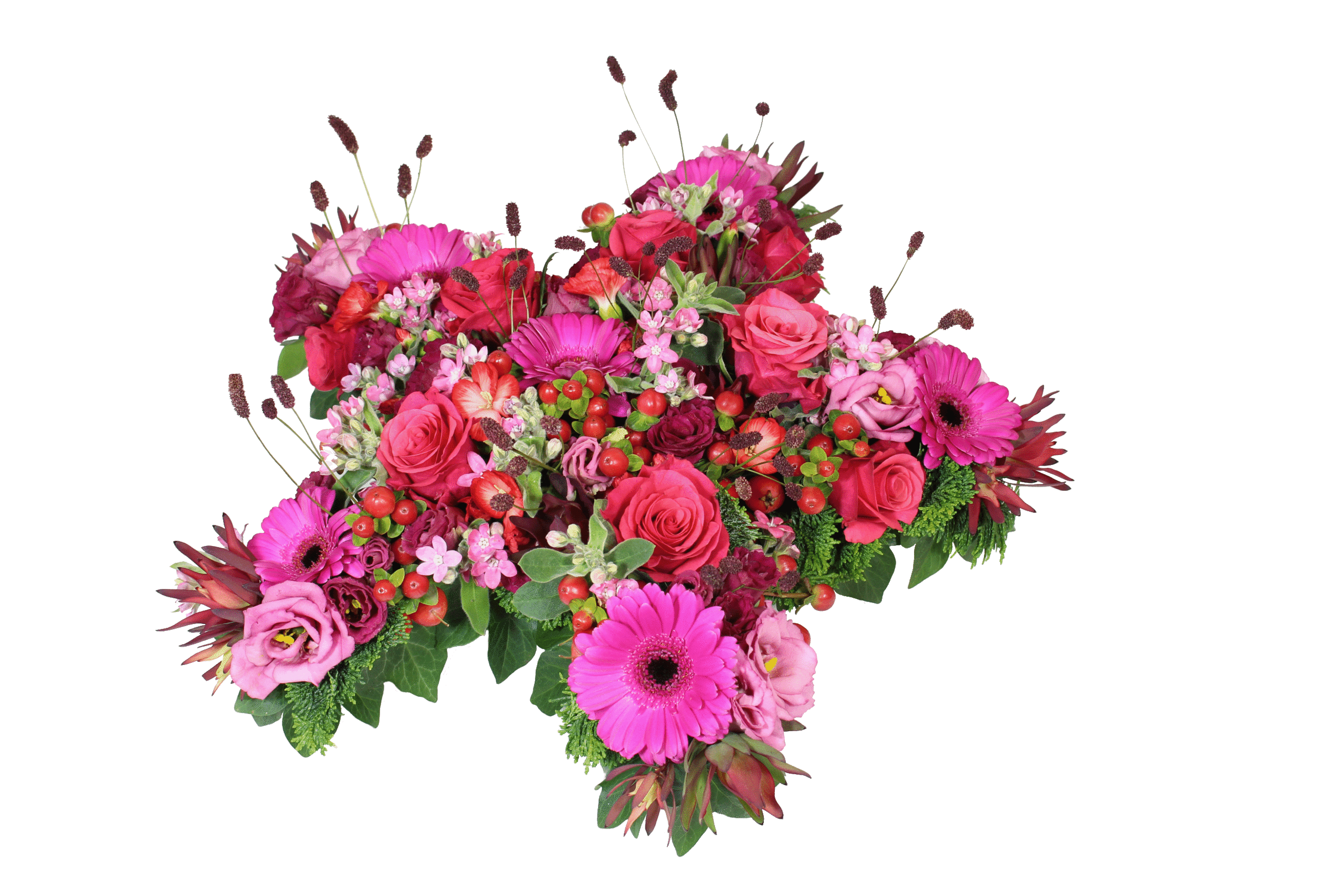Bloemen ster