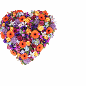 Bloemen hart oranje paars