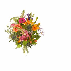 Boeket kleurrijk